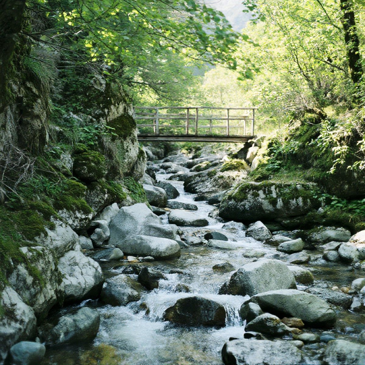 溪谷 — 小桥流水，临水人家